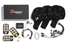 Load image into Gallery viewer, DragonEEG
